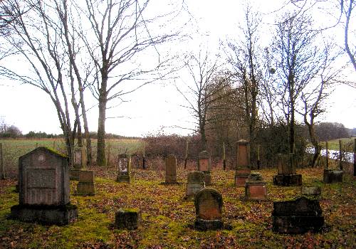 Jüdischer Friedhof Bausendorf, Foto: Werner Bühler DSCN0003 wb 500