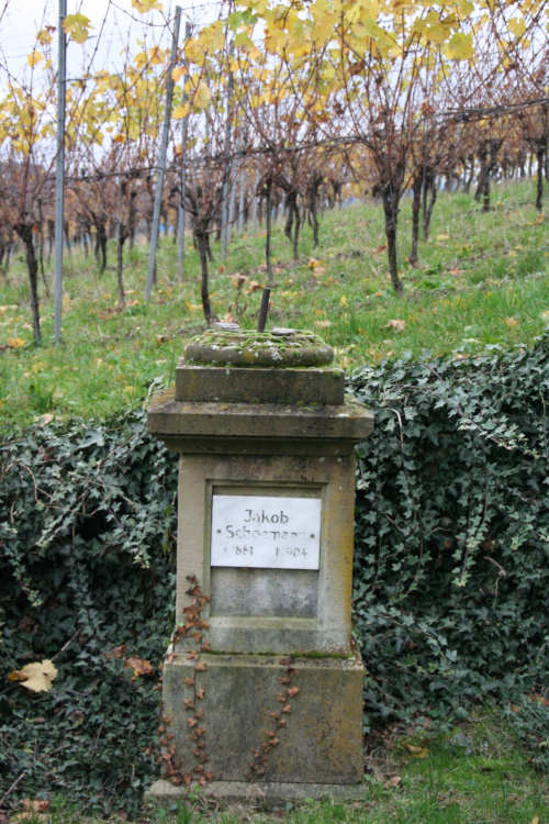 Jakob Schemann IMG 6503 500