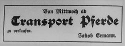 Anzeige Jakob ermann Pferde 250b