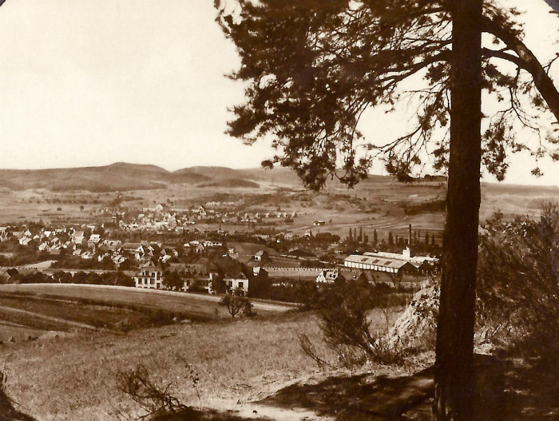 Ansicht WIL Holzindustrie 1920 Kann 800